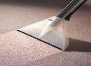 Dry Carpet Cleaning Raleigh
